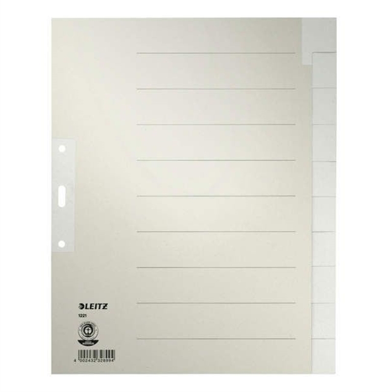 leitz-register-tauenpapier-rc-100-g/m-blanko-a4-volle-hoehe-ueberbreit-10-blatt-grau