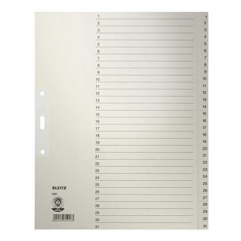 leitz-register-tauenpapier-rc-100-g/m-1-31-a4-volle-hoehe-ueberbreit-24-x-30-cm-31-blatt-grau