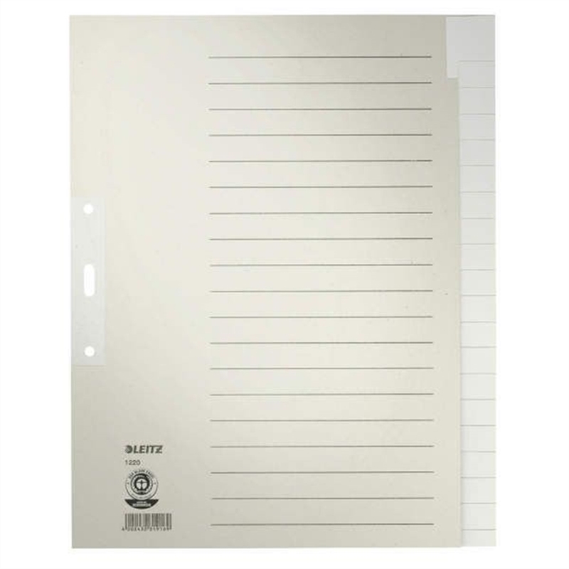 leitz-register-tauenpapier-rc-100-g/m-blanko-a4-volle-hoehe-ueberbreit-24-x-30-cm-20-blatt-grau