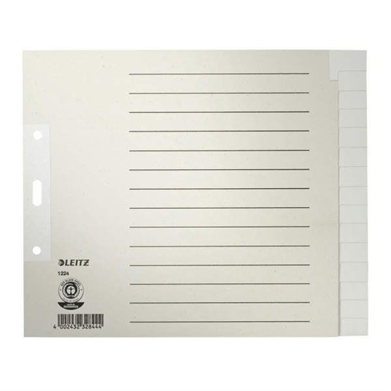 leitz-register-tauenpapier-rc-100-g/m-blanko-a4-halbe-hoehe-ueberbreit-24-x-20-cm-15-blatt-grau