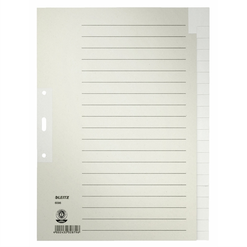 leitz-register-tauenpapier-rc-100-g/m-blanko-2fach-lochung-a4-volle-hoehe-20-blatt-grau