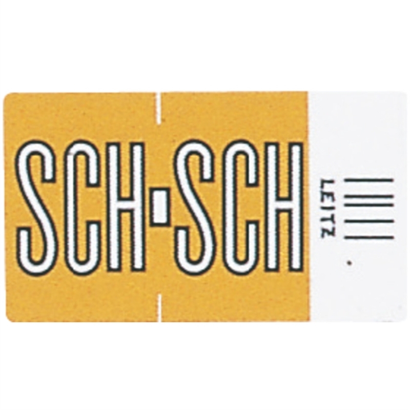 leitz-signaletikett-orgacolor-papier-selbstklebend-sch-23-x-30-mm-hellbraun-250-stueck