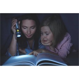Zeige Details für Taschenlampe LED Day Light Multi F20 - schwarz/silber Bild von Taschenlampe LED Day Light Multi F20 - schwarz/silber