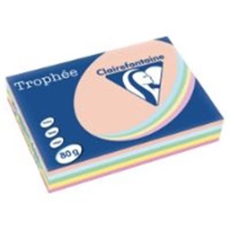 Zeige Details für Clairfontaine Farbpapier - Trophee - 1703C - A4 - 80 g/m² - matt  - sort. pastell - 500 Blatt Bild von Clairfontaine Farbpapier - Trophee - 1703C - A4 - 80 g/m² - matt  - sort. pastell - 500 Blatt