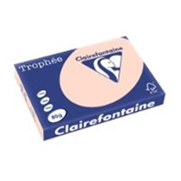 Zeige Details für Clairefontaine Kopierpapier Trophee DIN A3 - 80 g/m² - lachs - 500 Blatt Bild von Clairefontaine Kopierpapier Trophee DIN A3 - 80 g/m² - lachs - 500 Blatt